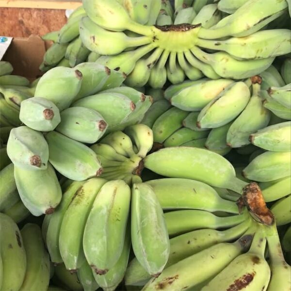 Banana 'Pisang' 8