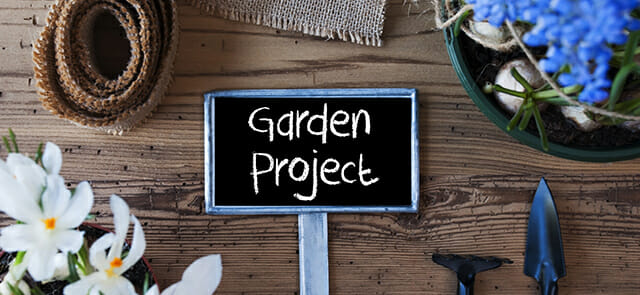 Blog Post Garden Project