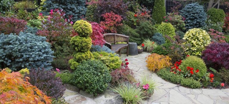 Top 10 Autumn Shrubs! - Garden Advice, Top 10 Lists - Hello Hello ...