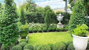 The Green & White Garden - Hello Hello Plants & Garden Supplies