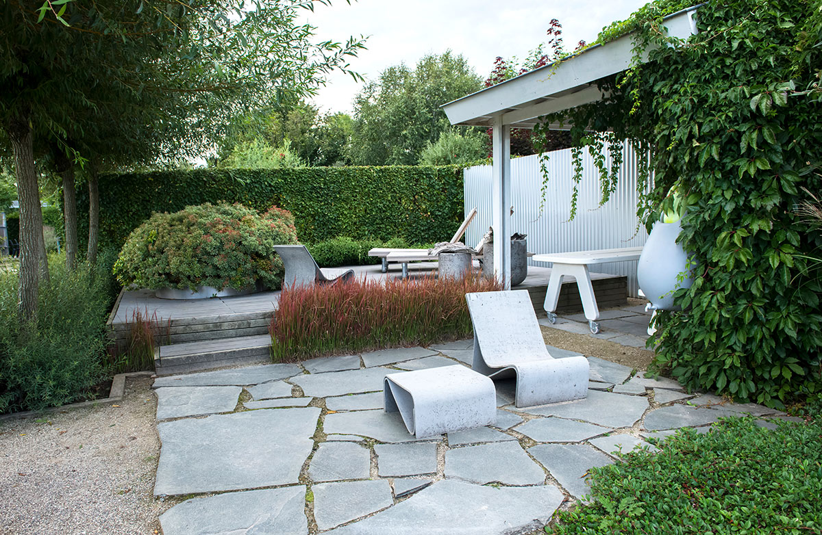 A modern garden with predominately green and white shades gets a splash of colour from red blood grass
