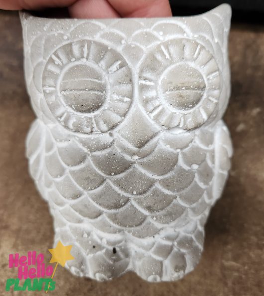 Dart Animal Owl Planter Pot Cement Grey for plants