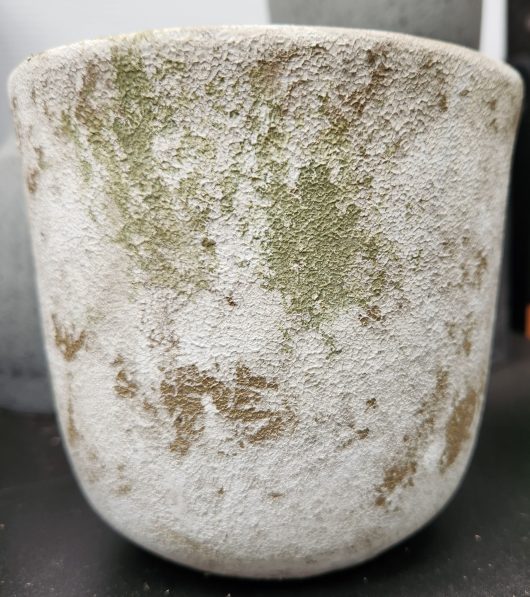 A Dart Mini Egg Moss Green 14x13cm pot sitting on top of a table.