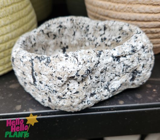 A Dart Stone Bowl 14x10x6cm sitting on top of a shelf perfect for small plants
