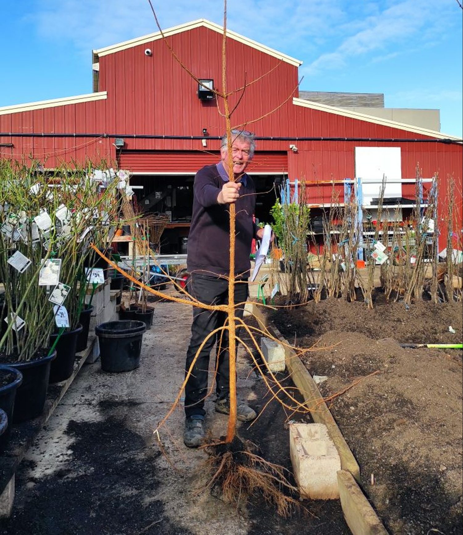 Chris at Hello Hello Plants Nursery with Bare Rooted tree