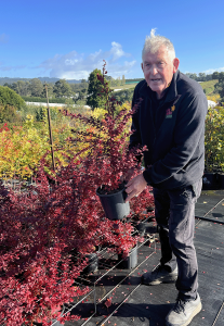An elderly man holding a potted red plant at a nursery, smiling, with rows of top indoor plants and trees under a clear blue sky.
