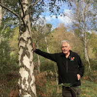 Silver Birch Trees with Chris