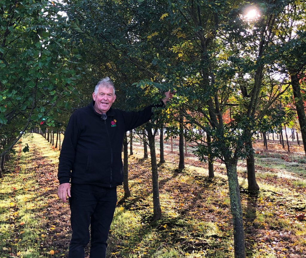 A man stands in an orchard, pointing at a tree with one hand. Sunlight filters through the leaves, illuminating the ground covered with fallen leaves. He is wearing a black jacket and black pants. In this scenic setting, he gestures towards advanced field dug trees for sale.