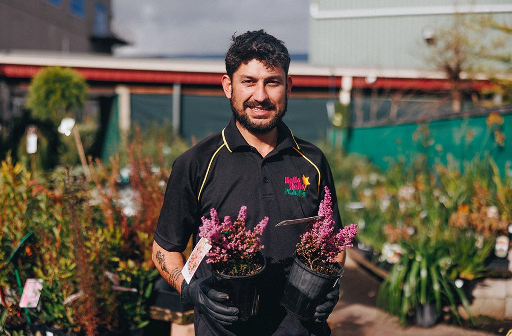 A person in a black shirt is holding two potted plants in an outdoor garden center, where bare rooted plants for sale are displayed among various other plants and flowers in the background. Hello Hello Staff Photo, Employee