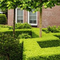 A well-manicured garden with neatly trimmed hedges, small trees, and a brick building in the background.