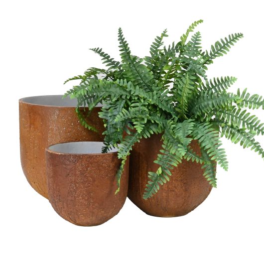 Three brown, round UrbanCrete Deep Bowl Cement S 70x61cm (Copy) planters of varying sizes, with the smallest holding a lush green fern.