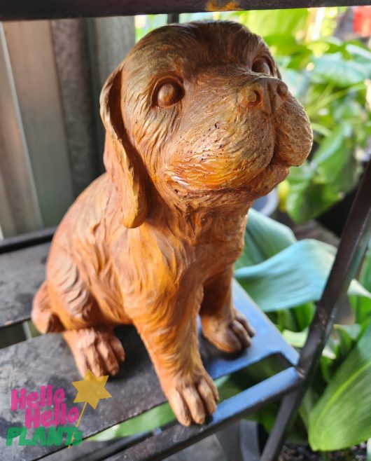 A Portica Dog Rust Decor L 19x14x23cm sits on a shelf next to plants, with a "Hello Hello Plants" logo in the lower left corner.