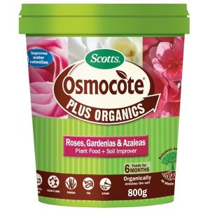 A green and pink container of Scotts Osmocote Plus Organics, 800g. Intended for feeding roses, gardenias, and azaleas, and improves water retention and soil. Organically enriches the soil for up to six months. fertiliser