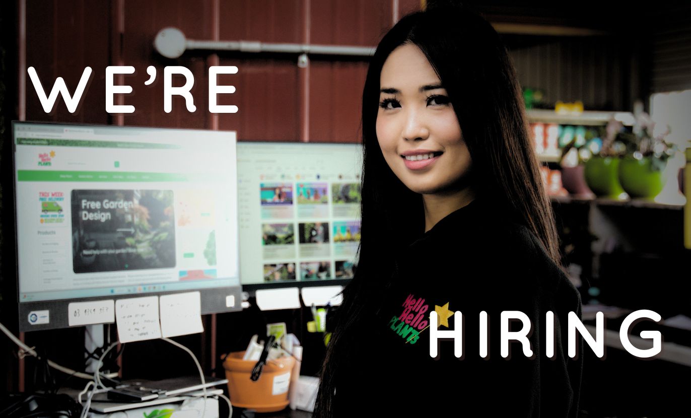 A woman stands in front of two computer monitors with a website displayed, next to the words "We're Hiring." She is wearing a black top and smiling confidently at the camera, embodying our enthusiastic hiring spirit.