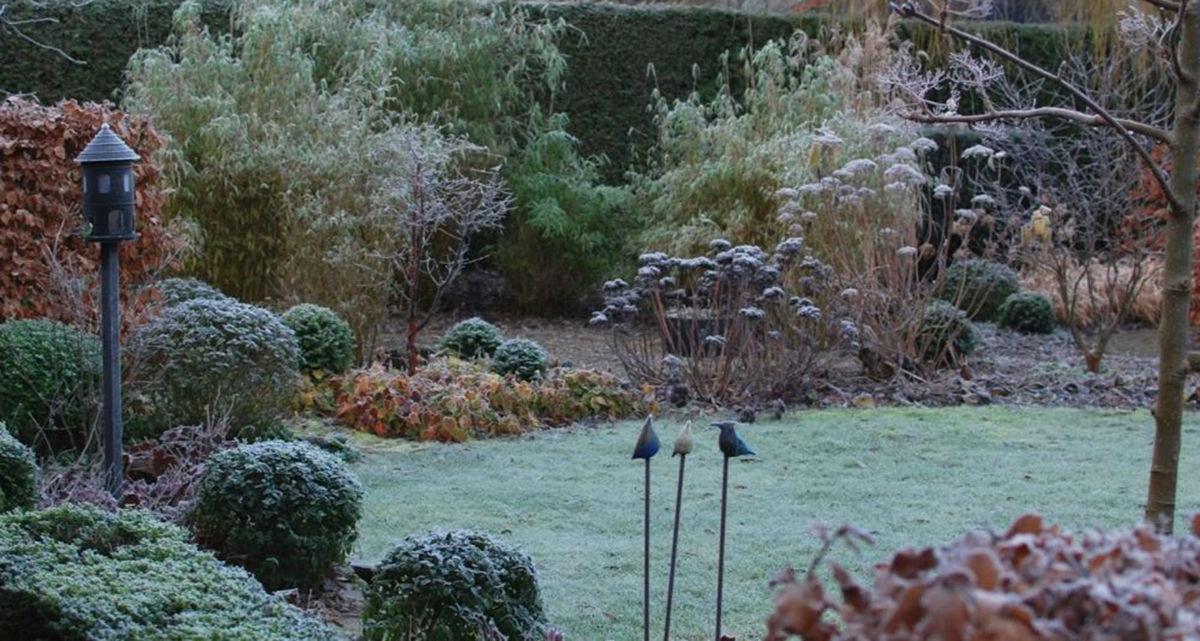 A frost-covered winter garden with bushes, bare trees, a birdhouse on a post, and three bird-shaped ornaments in the foreground. A hedge borders the back of the garden.