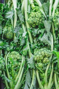 Bundles of fresh Brassica 'Broccoletti' 4" Pot with leafy green stems and small broccoli-like clusters, perfect for planting in a 4" pot.