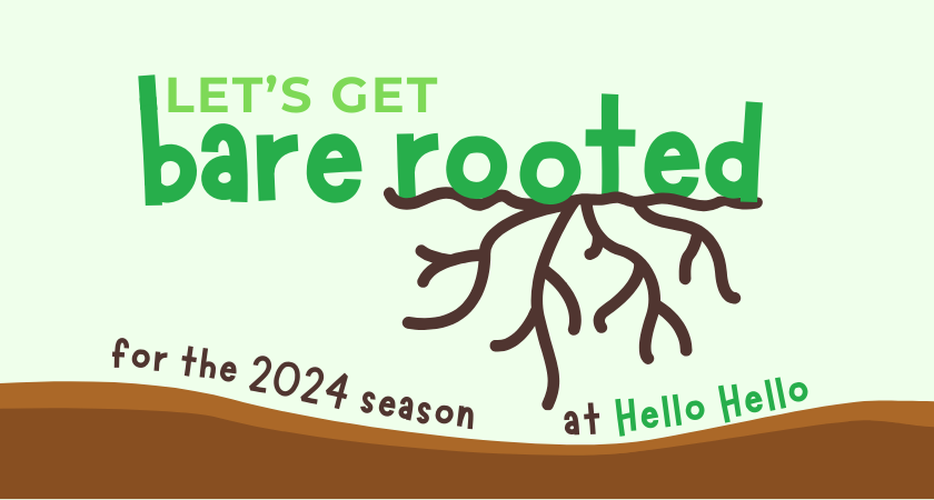 Illustration with the words "Let's Get Bare Rooted" showing tree roots. Text below reads "for the 2024 garden design season at Hello Hello".