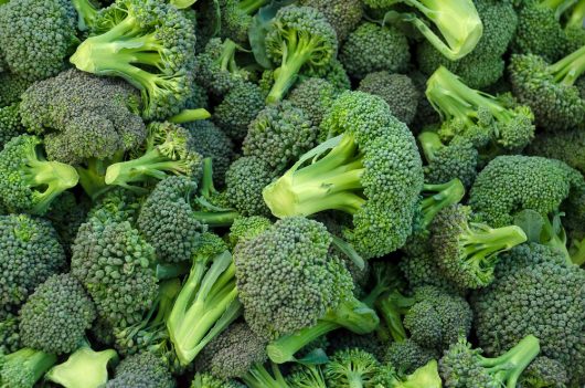 A vibrant pile of Broccoli 'Green' 4" Pot, brimming with natural goodness.