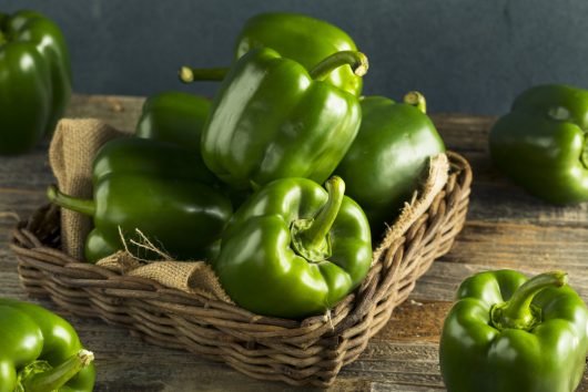 A wicker basket filled with Capsicum 'Big Bertha Green' bell peppers in their 4" pots, a true bounty of fresh produce, sits on a wooden surface, with a few bell peppers scattered around it.