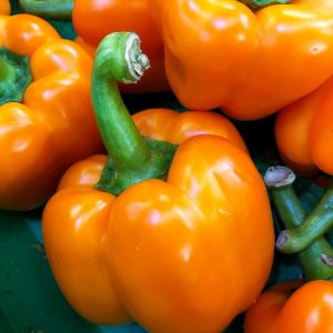 Close-up view of a vibrant red bell pepper from the Capsicum 'Red' Bell Pepper 4" Pot, surrounded by several orange bell peppers with green stems, all stacked together.