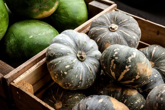 Wooden crates containing Pumpkin 'Japanese' 4" Pots sit in a market setting, next to ceramic pots.