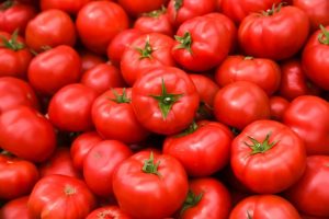 A large truss of ripe, red Tomato 'Truss' in a 4" pot with green stems.