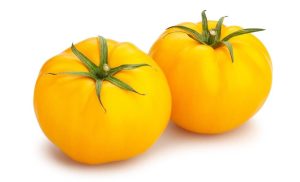 Two yellow heirloom tomatoes from the Tomato 'Truss' 4" Pot (Copy), with green stems, set against a white background.