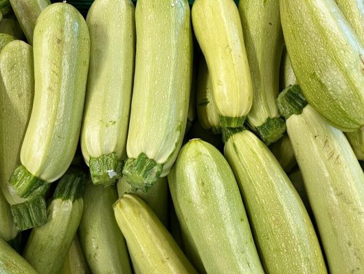 A closely stacked pile of fresh, light green zucchinis from the 'Black Jack' variety with their stems attached.