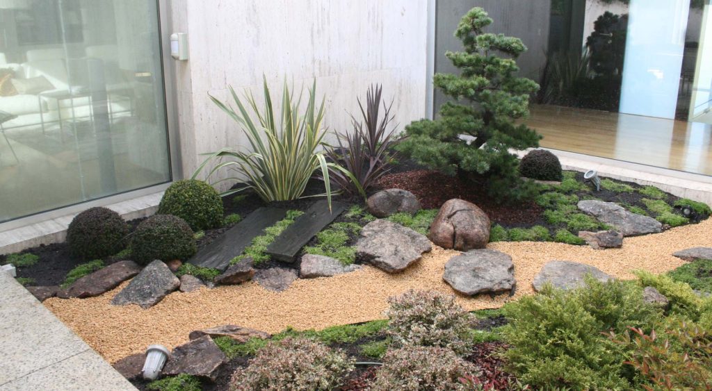 A small, zen-style garden design features a harmonious mix of rocks, gravel, green shrubs, and a delicate tree adjacent to the glass building exterior.