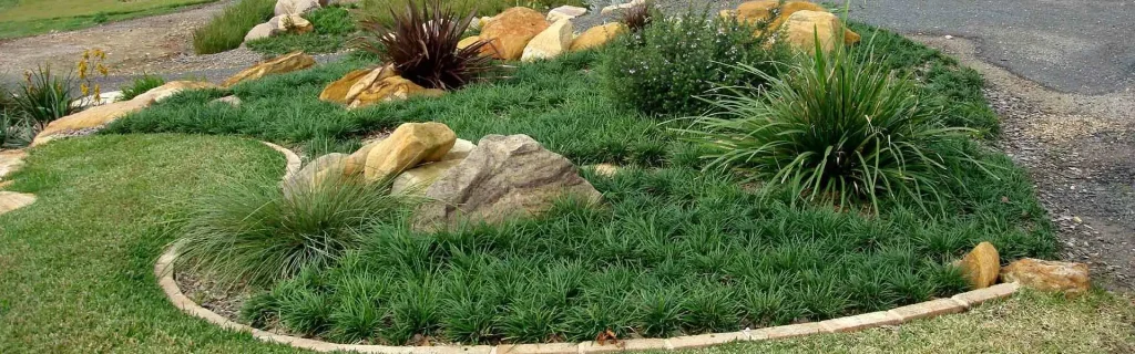 A landscaped garden bed with grasses, shrubs, and large rocks bordered by a curved stone edge offers stunning lawn alternatives.