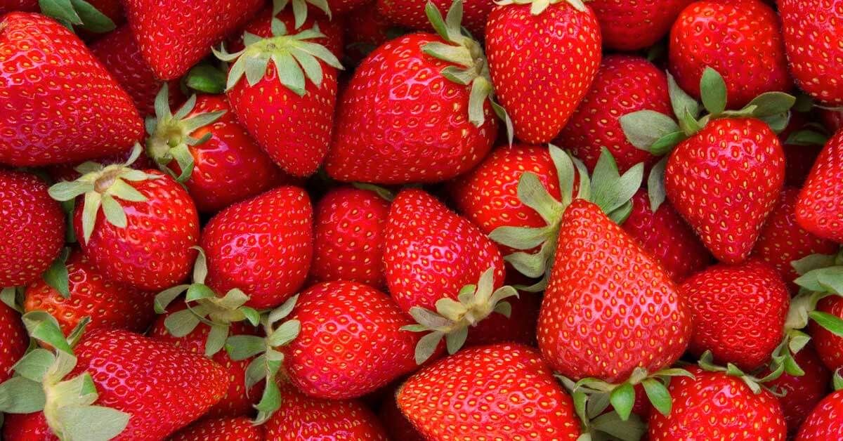 Close-up image of fresh red strawberries with green leaves, filling the entire frame, reminiscent of a bountiful plant clearance sale.