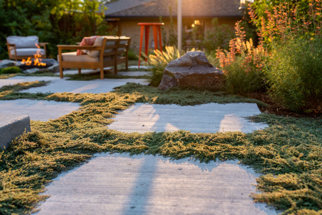 A backyard features a seating area with wooden chairs and a fire pit, surrounded by lush lawn alternatives and stone pavers, under the sunlight.