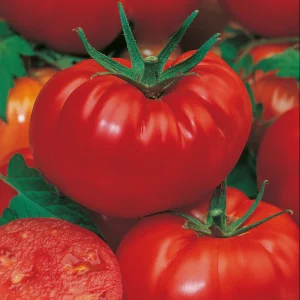 Close-up of three ripe red tomatoes and one halved tomato with seeds and juice visible, all surrounded by green leaves, capturing the vibrant essence that well-planned garden design can solve many problems.