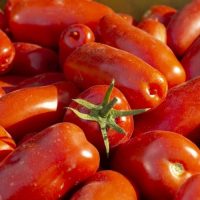 A close-up of numerous oblong red tomatoes, with one tomato prominently displaying a green stem in the center, highlights the beauty that fresh produce can bring, even to those tackling garden design problems.