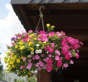 A Calibrachoa 'Assorted' 10" Hanging Basket filled with vibrant pink, yellow, and white flowers sways under a wooden roof against a cloudy sky.