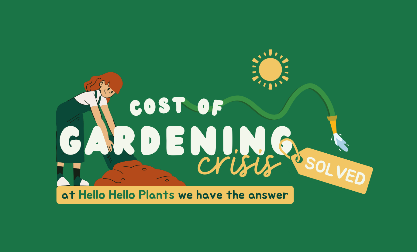 Illustration of a person gardening with the text "Cost of Gardening Crisis Solved" and a watering can tag. Sun icon above, announcing our Winter Plant Clearance Sale. Gardening Crisis Solved Sale