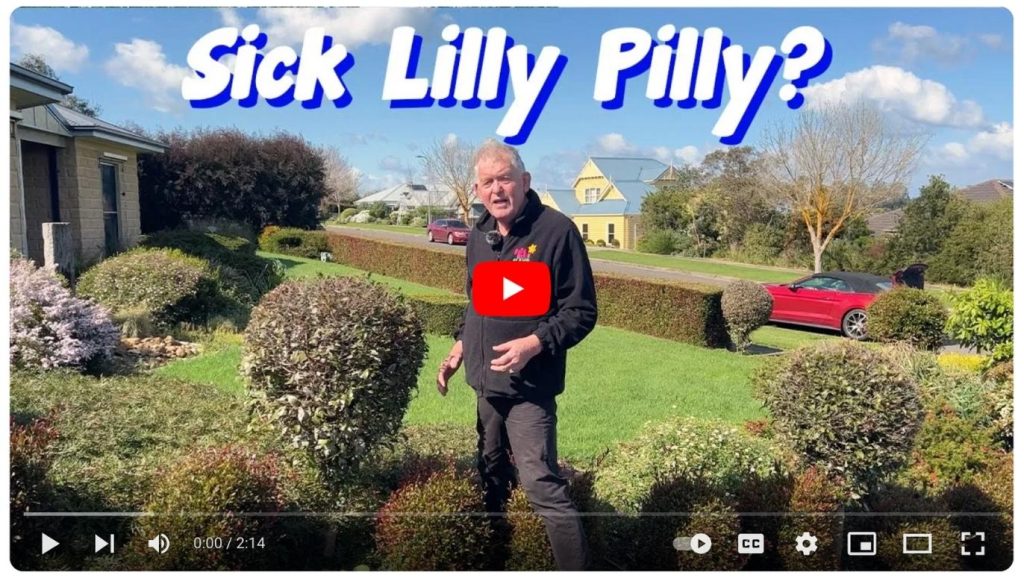 A person stands in a garden with trimmed bushes, under the text "Sick Lilly Pilly?" A red car and houses are in the background.