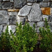 A stone wall with a variety of gray and brown rocks is bordered by lush green shrubs at the base.