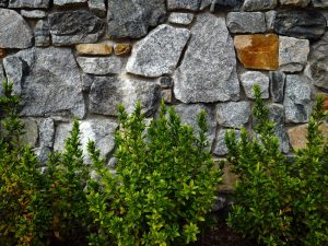 A stone wall with a variety of gray and brown rocks is bordered by lush green shrubs at the base.