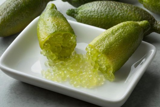 A Citrus 'Crystal' Finger Lime (Copy) cut open on a white dish reveals caviar-like citrus pulp spilling out, with more of these finger limes in the background.