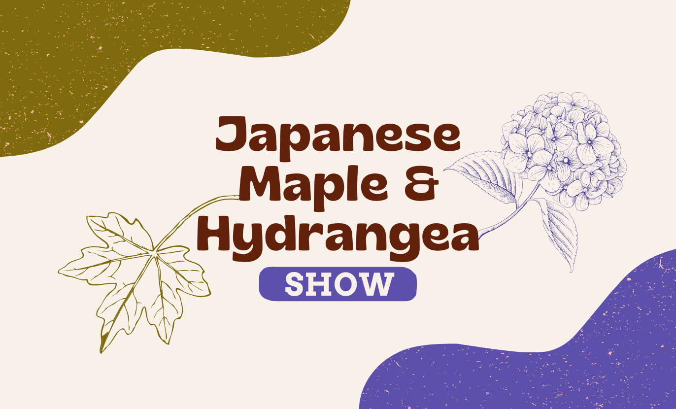 Graphic with text "Japanese Maple & Hydrangea Show" featuring illustrations of maple and hydrangea leaves, set against an abstract background with green and purple shapes—a serene escape where the cost of gardening crisis is cleverly solved.