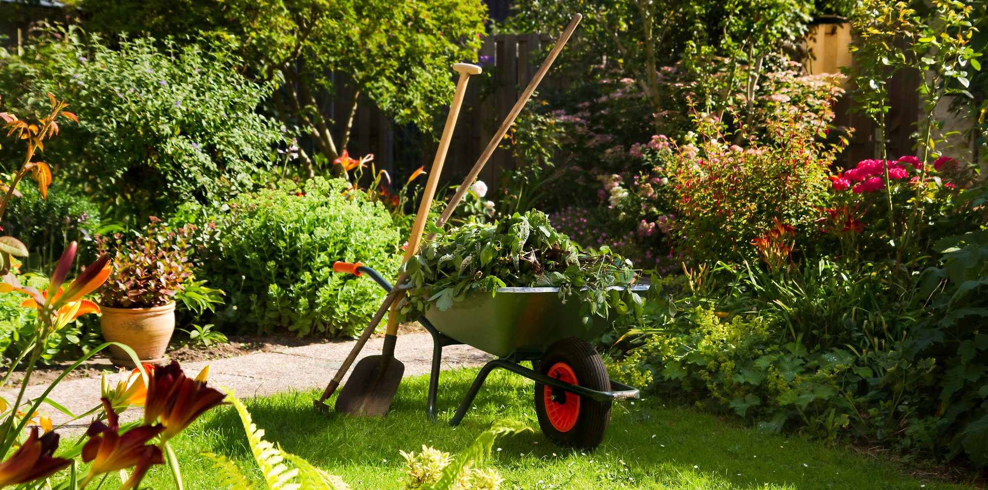 A garden scene with a wheelbarrow full of green leaves, a shovel and rake leaning against it, surrounded by lush plants and colorful flowers.