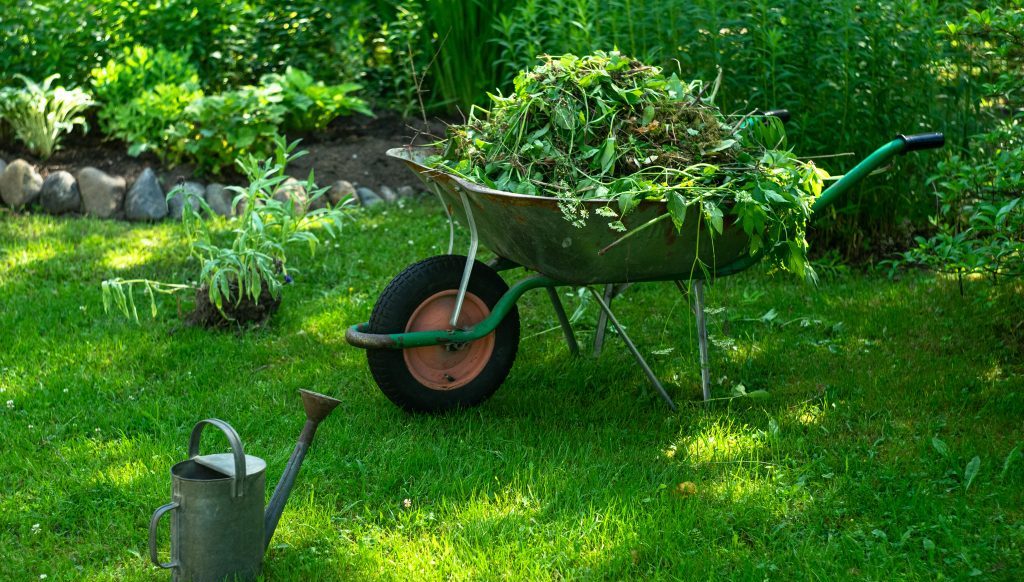 A wheelbarrow filled with garden clippings rests on the grass, complementing the art of garden design, while a metal watering can stands nearby.