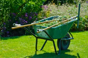 A green wheelbarrow filled with garden clippings sits on the lawn, embodying thoughtful garden design, with two wooden rakes resting on top.