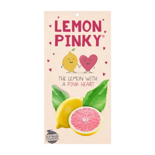 The Citrus 'Lemon Pinky' Lemon 7" Pot packaging showcases a cheerful cartoon lemon with a pink heart, accompanied by the text: "The lemon with a pink heart." A vibrant citrus slice highlights the Lemon Pot charm.