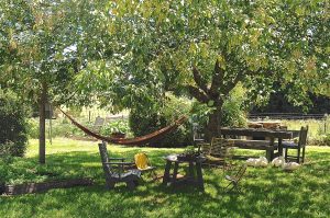 A garden design masterpiece featuring a hammock, chairs, and a table nestled under a leafy tree surrounded by vibrant pumpkins.