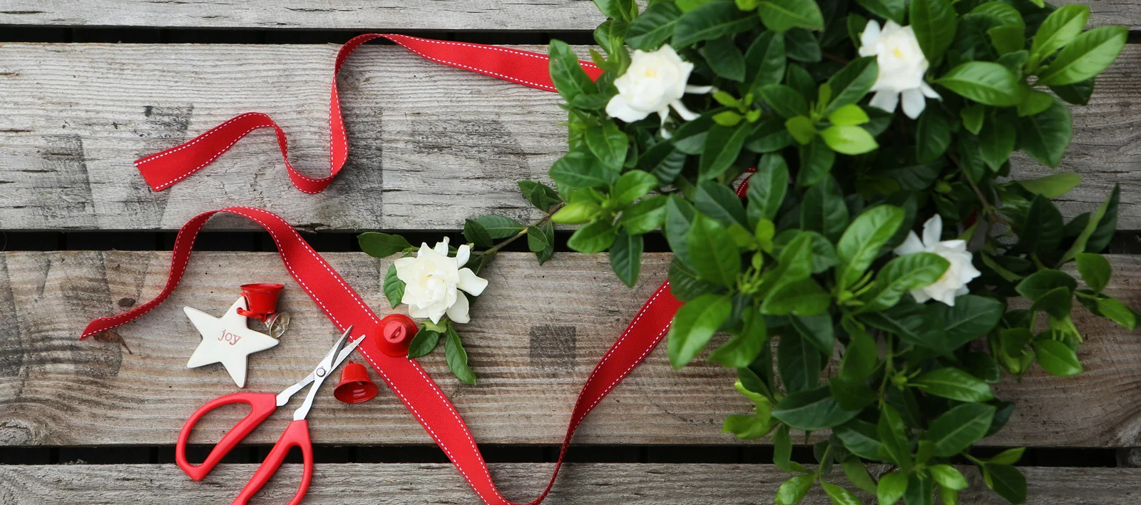 A wooden table holds red scissors, a spool of red ribbon, white flowers, a star-shaped tag with "Joy," and a green plant, evoking the warmth and spirit of Christmas trees.