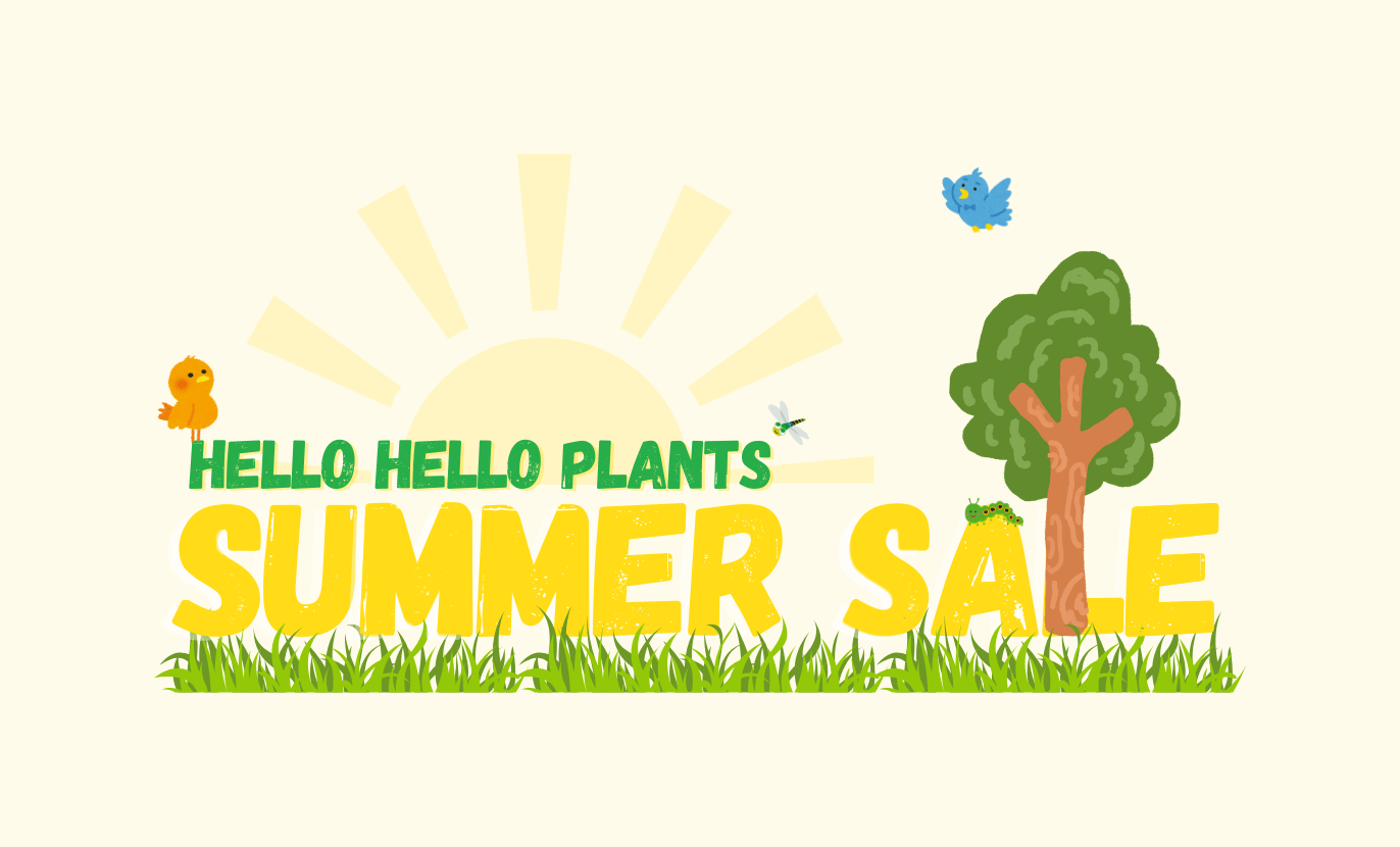 Illustration of "Hello Hello Plants Summer Sale" featuring grass, a tree, birds, a butterfly, and a sun in the background, capturing the festive spirit of a Boxing Day Sale.