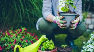 Person holding a potted plant while squatting in a garden. Gardening tools and flowers are visible around them.