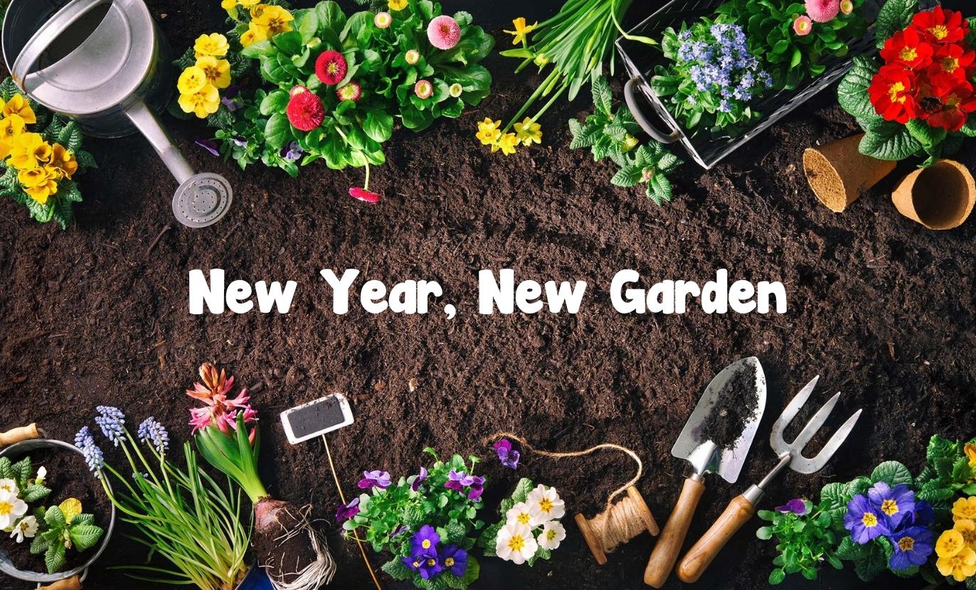 New Year, New Garden